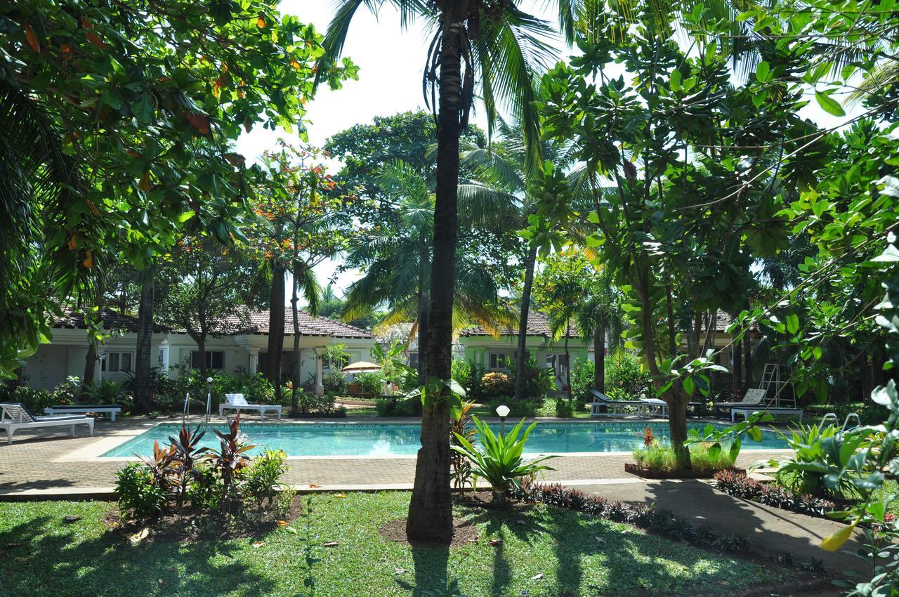 Villa La Casita Cavelossim Ngoại thất bức ảnh